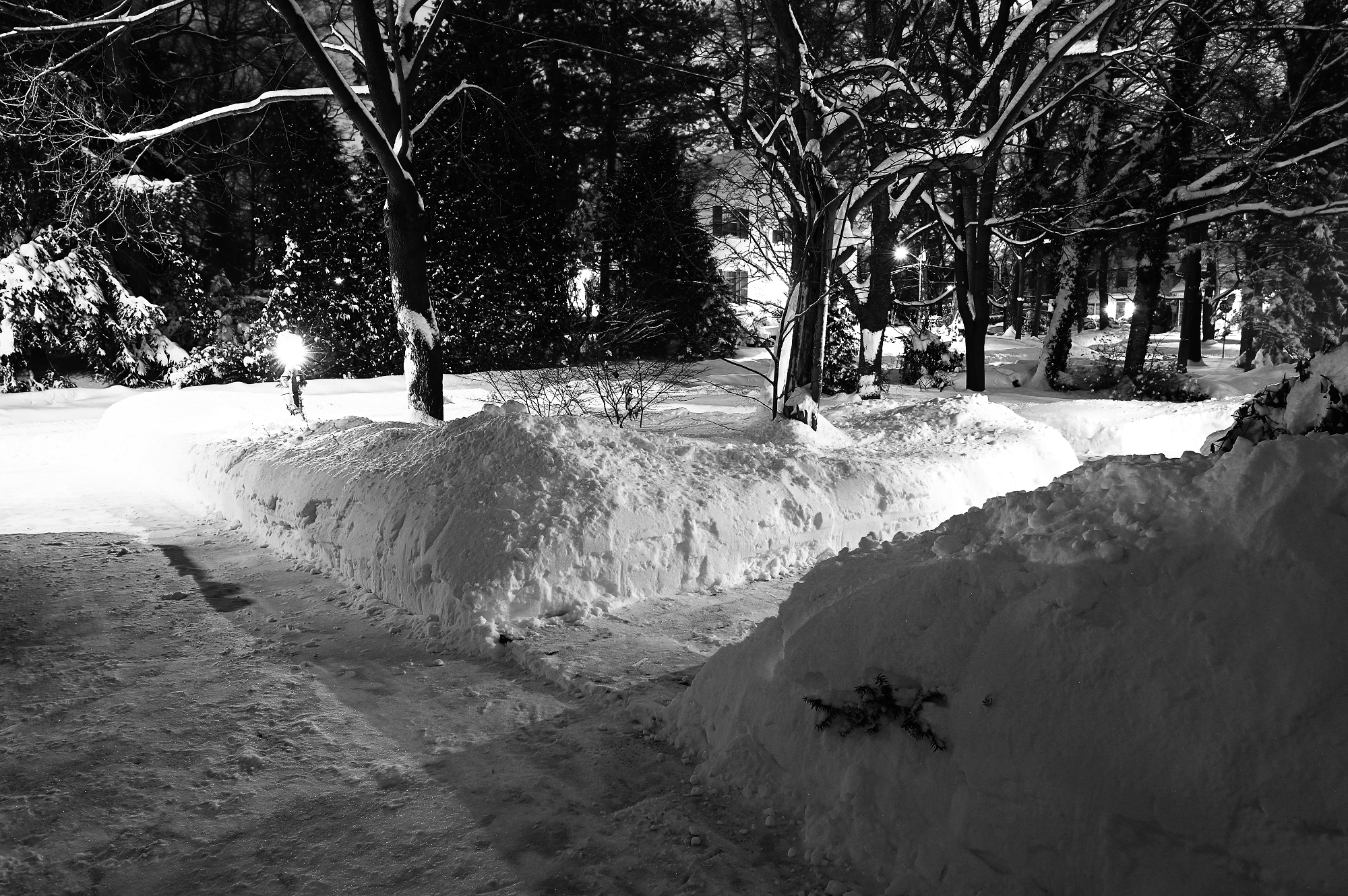 toronto morning after snow storm 2025 b&w early morning