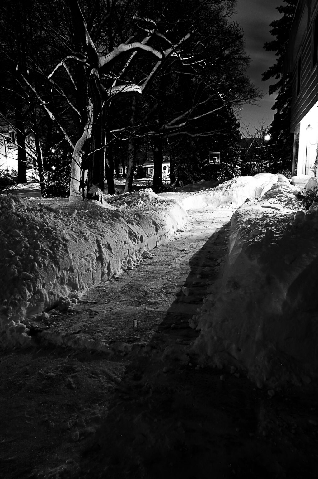 toronto morning after snow storm 2025 b&w early morning